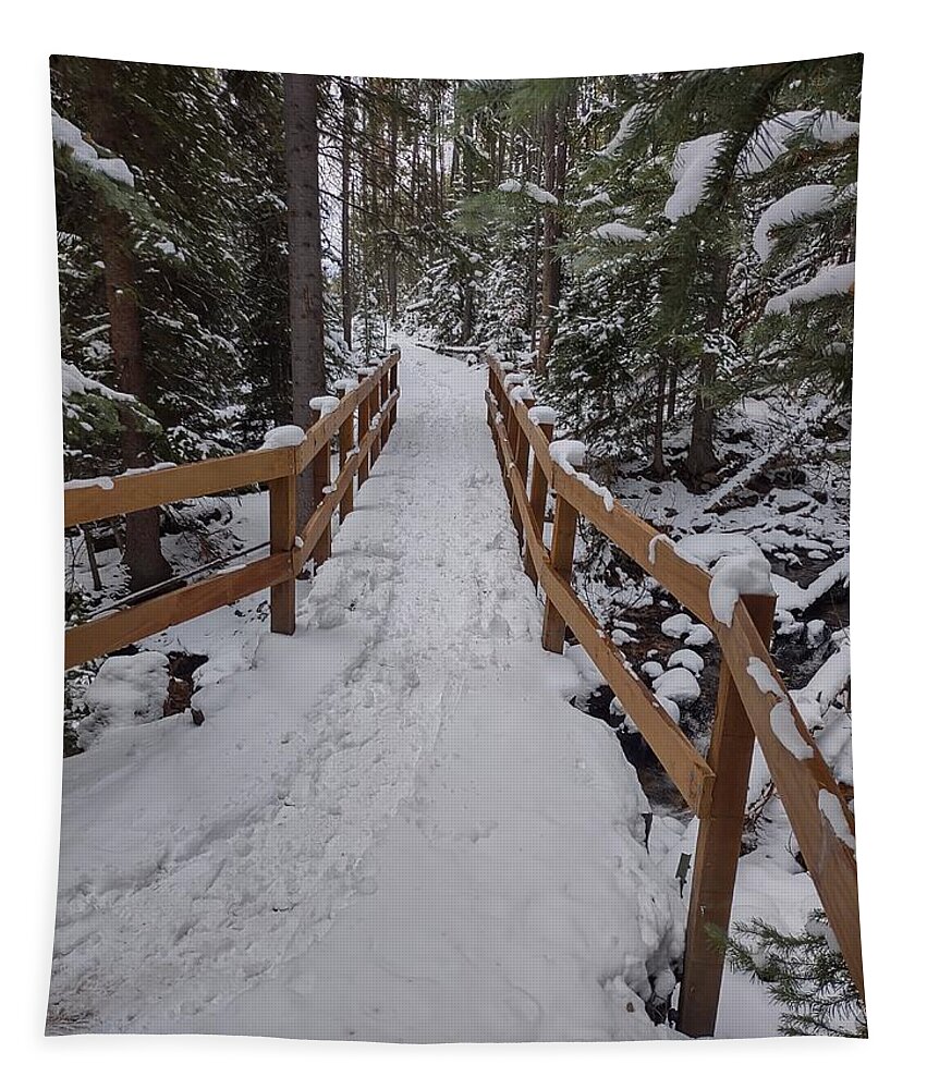 Landscape Tapestry featuring the photograph Snowy pathway by Erin Mitchell