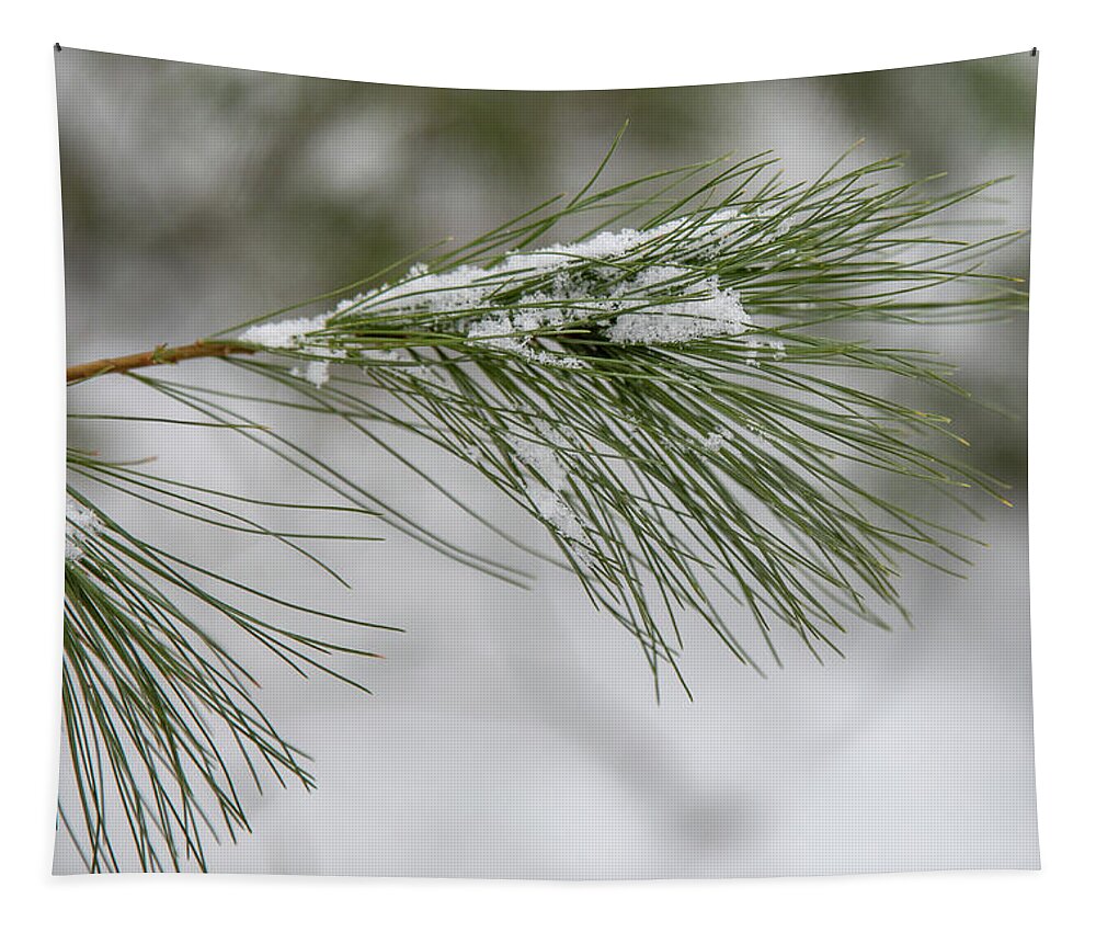 Pine Tapestry featuring the photograph Snowy Pine by Denise Kopko