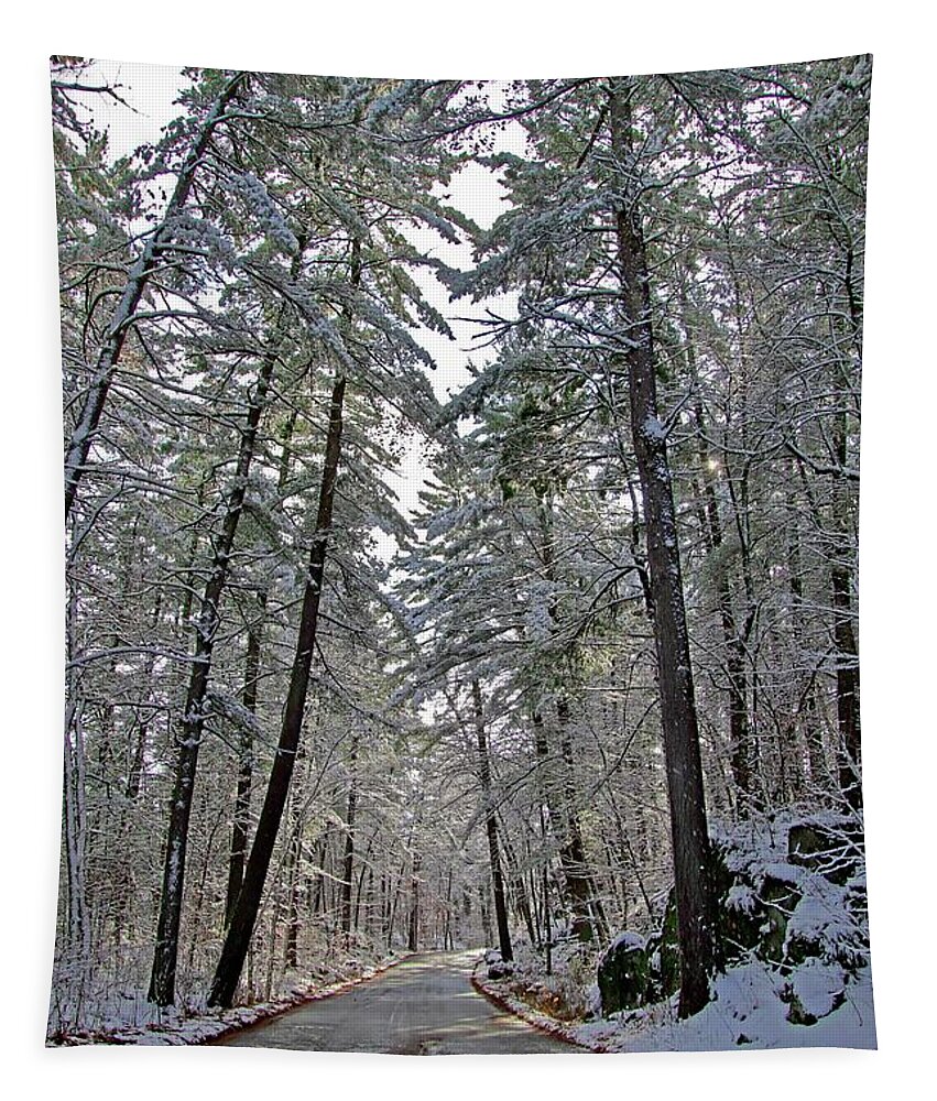 Snow Tapestry featuring the photograph Snowy Pines by Sarah Lilja