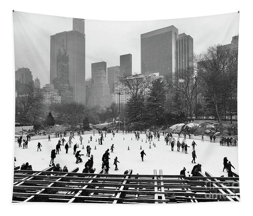  Tapestry featuring the photograph Snowy Skate by Dennis Richardson