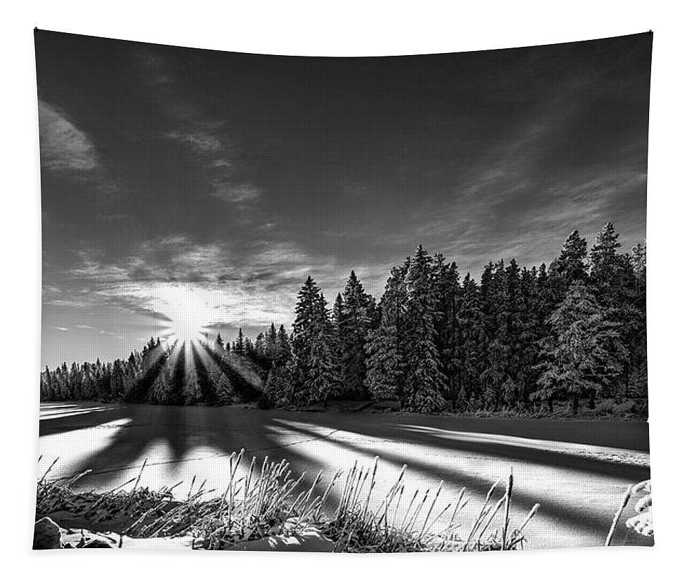 Cypress Hills Tapestry featuring the photograph Snowy Sunset by Darcy Dietrich