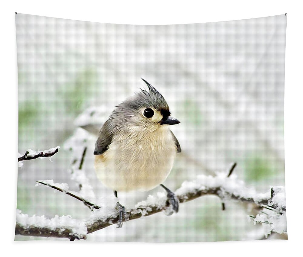 Bird Tapestry featuring the mixed media Snowy Tufted Titmouse by Christina Rollo
