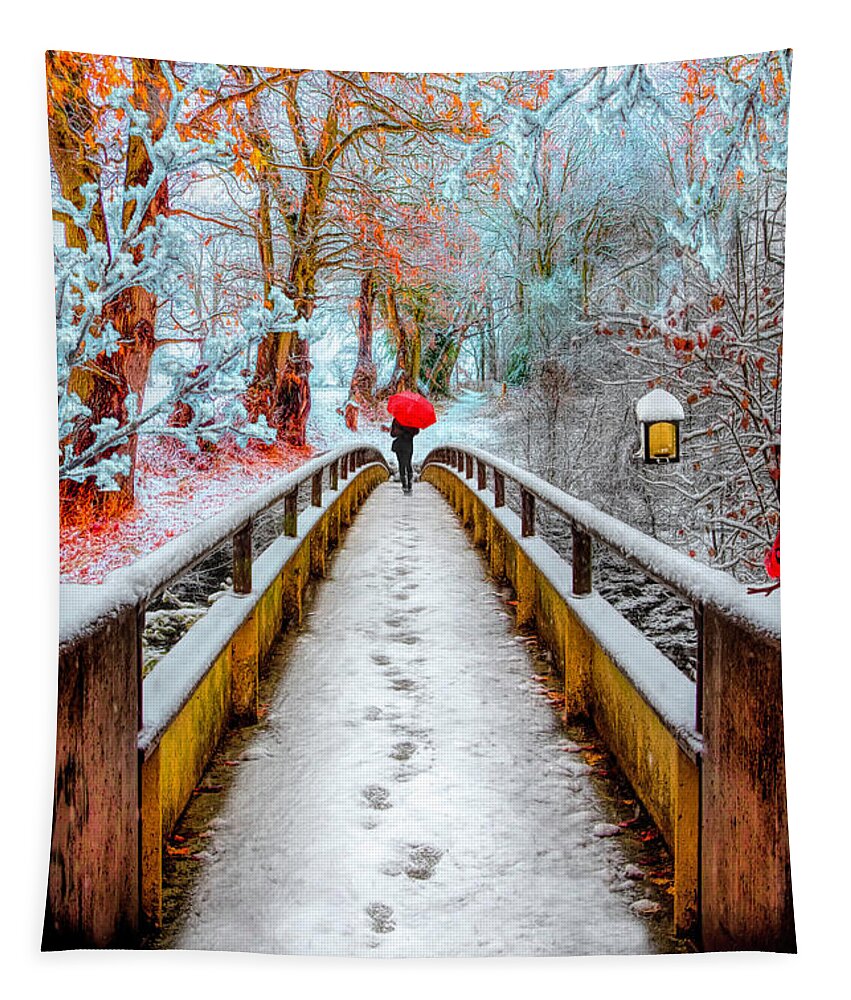 Carolina Tapestry featuring the photograph Snowy Walk by Debra and Dave Vanderlaan