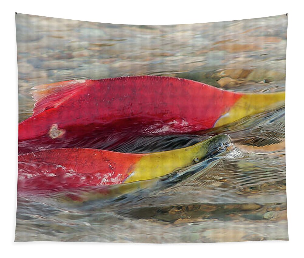 Sockeye Salmon Tapestry featuring the photograph Sockeye Salmon by Linda McRae