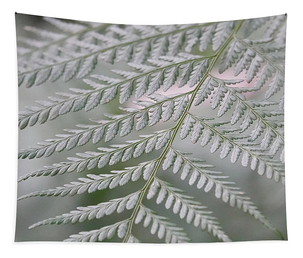 Leaves Tapestry featuring the photograph Soft Bracken Fern by Maryse Jansen