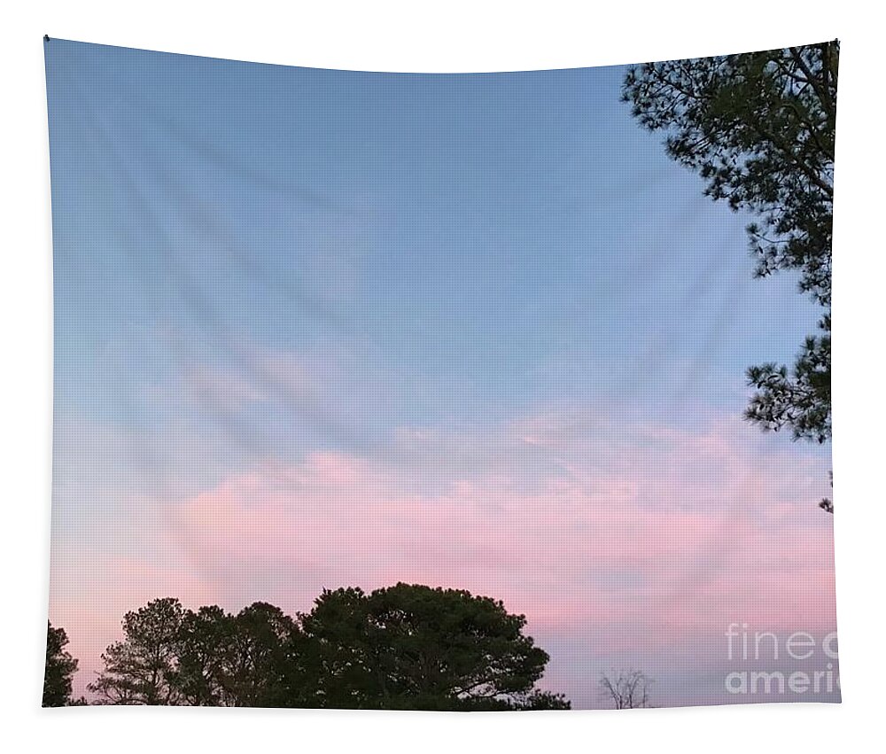 Sunset Tapestry featuring the photograph Soft Pink Sunset by Catherine Wilson