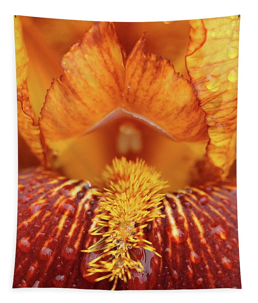 Flower Tapestry featuring the photograph Soggy Iris by Lens Art Photography By Larry Trager