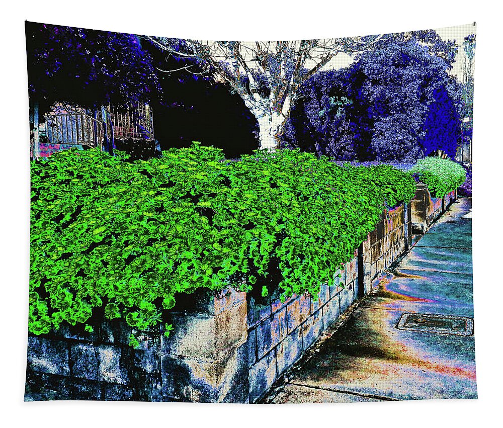 Bushes Tapestry featuring the photograph Solar Bushes by Andrew Lawrence