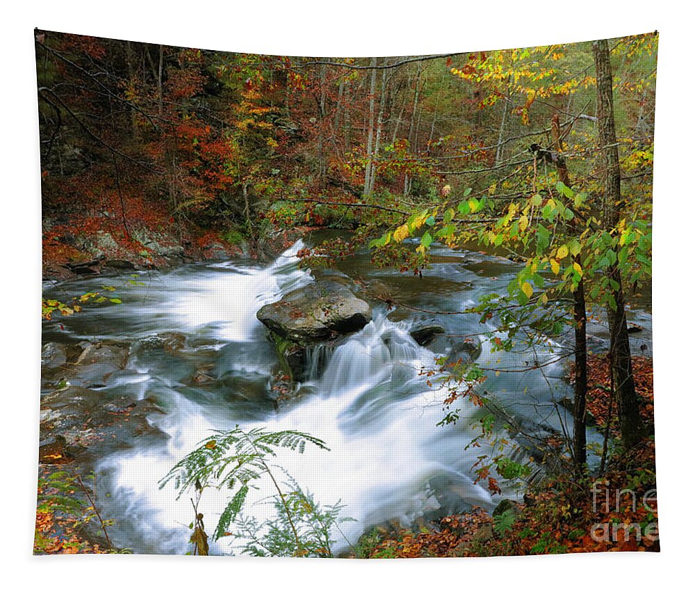 Creeks Tapestry featuring the photograph Solitude Falls by Rick Lipscomb