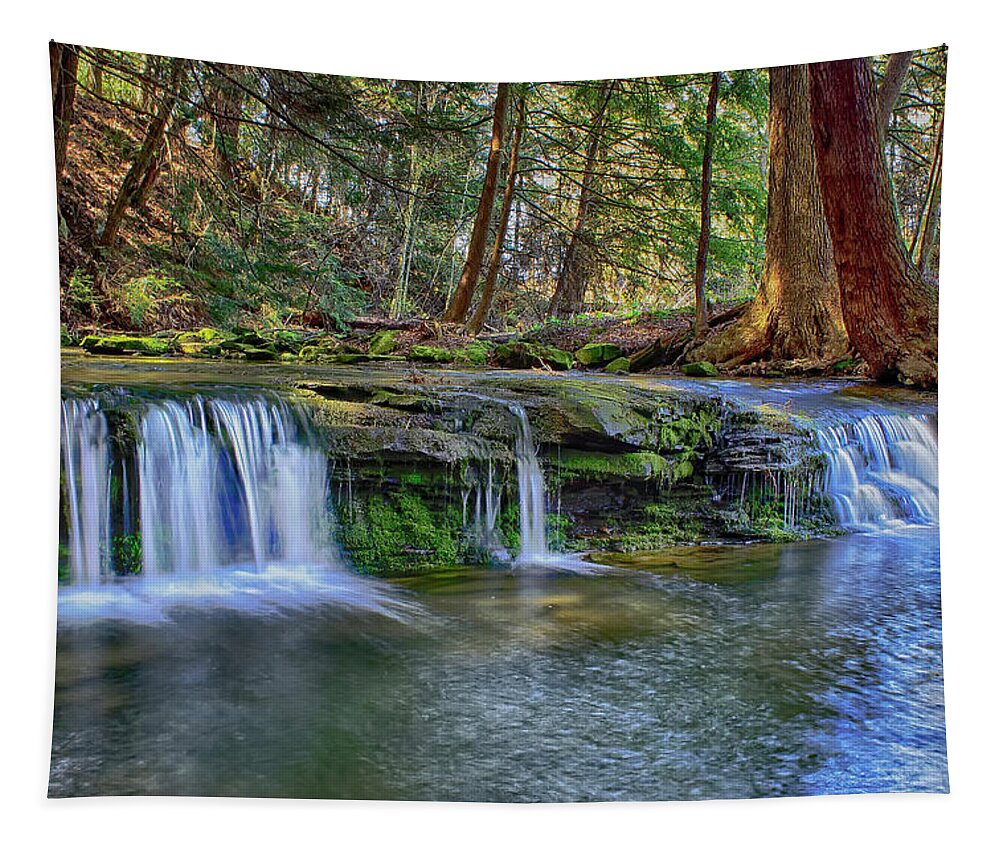Water Tapestry featuring the photograph Solitude by Skip Tribby
