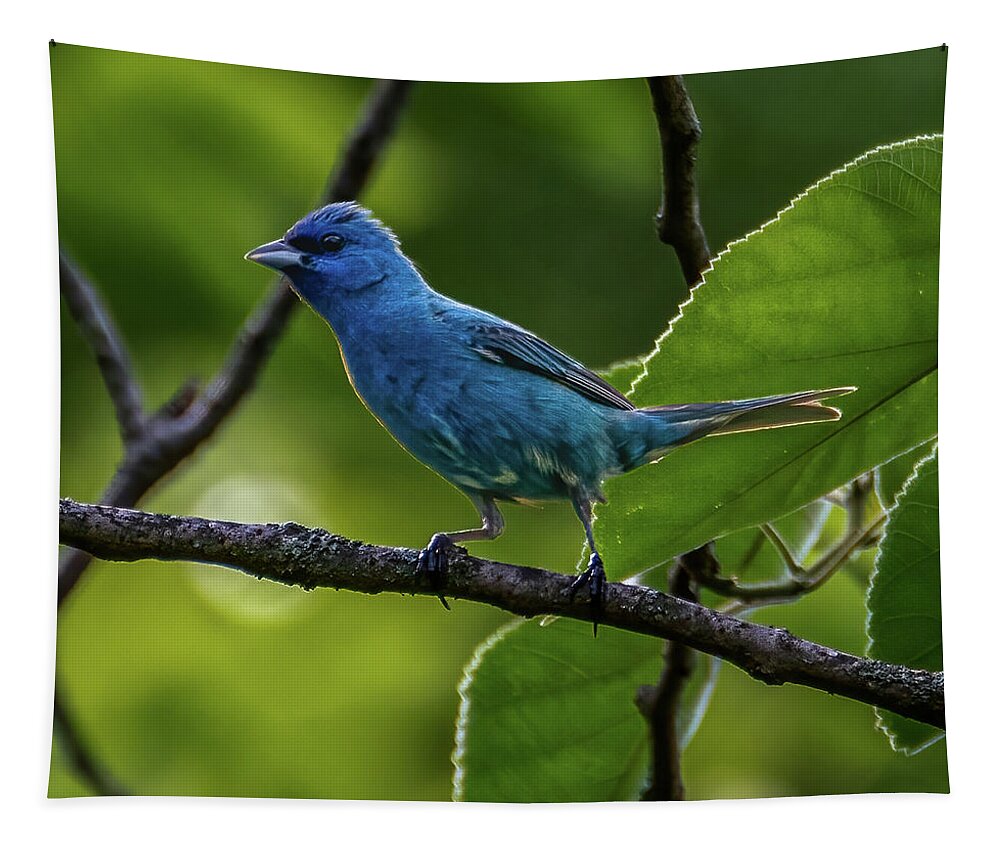 Avian Tapestry featuring the photograph Song of the Indigo Bunting by Brian Shoemaker