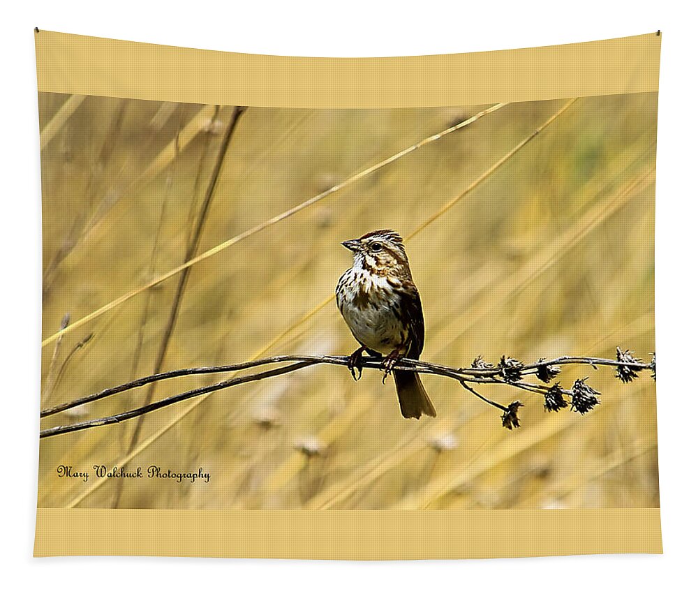 Birds Tapestry featuring the photograph Song Sparrow by Mary Walchuck