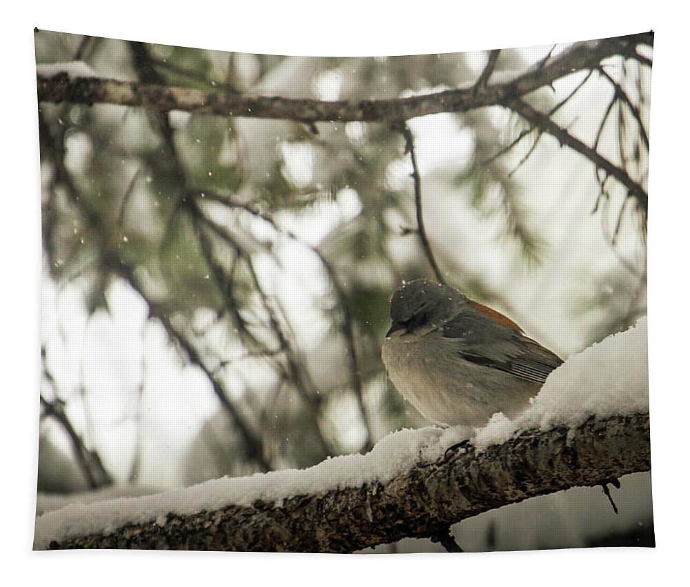 Wildlife Tapestry featuring the photograph Songbird in Winter by Laura Putman