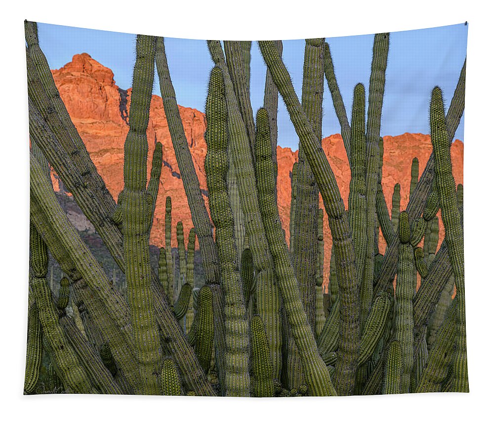 Ajo Mountain Drive Tapestry featuring the photograph Sonora Obscura by James Covello