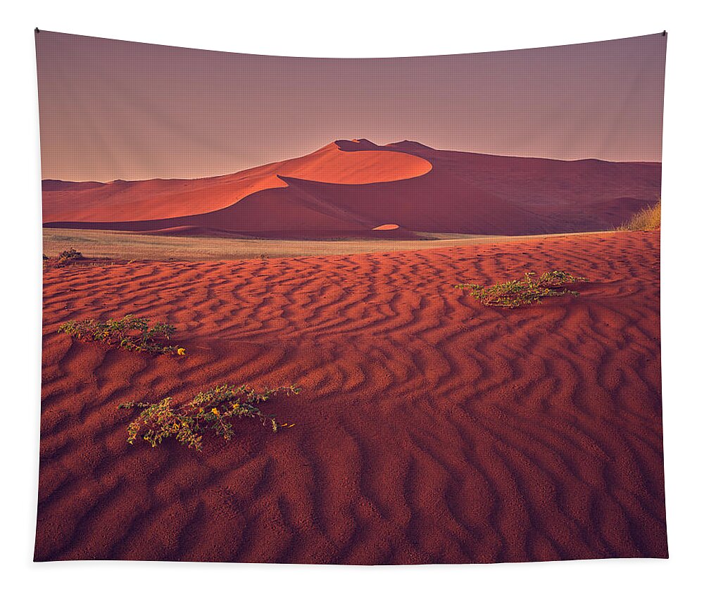Sossusvlei Tapestry featuring the photograph Sossusvlei at Dawn by Peter Boehringer