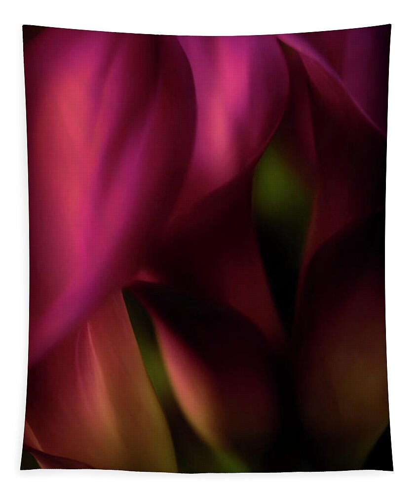 Floral Tapestry featuring the photograph Sound of Silence - Red Tones by Darlene Kwiatkowski