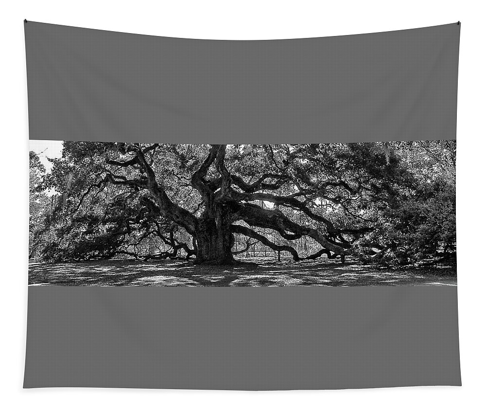 Angel Oak Tapestry featuring the photograph Southern Angel Oak Tree by Louis Dallara