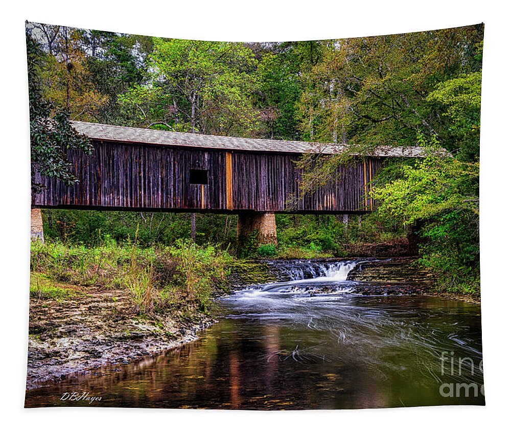 Nature Tapestry featuring the photograph Southern Gem III by DB Hayes