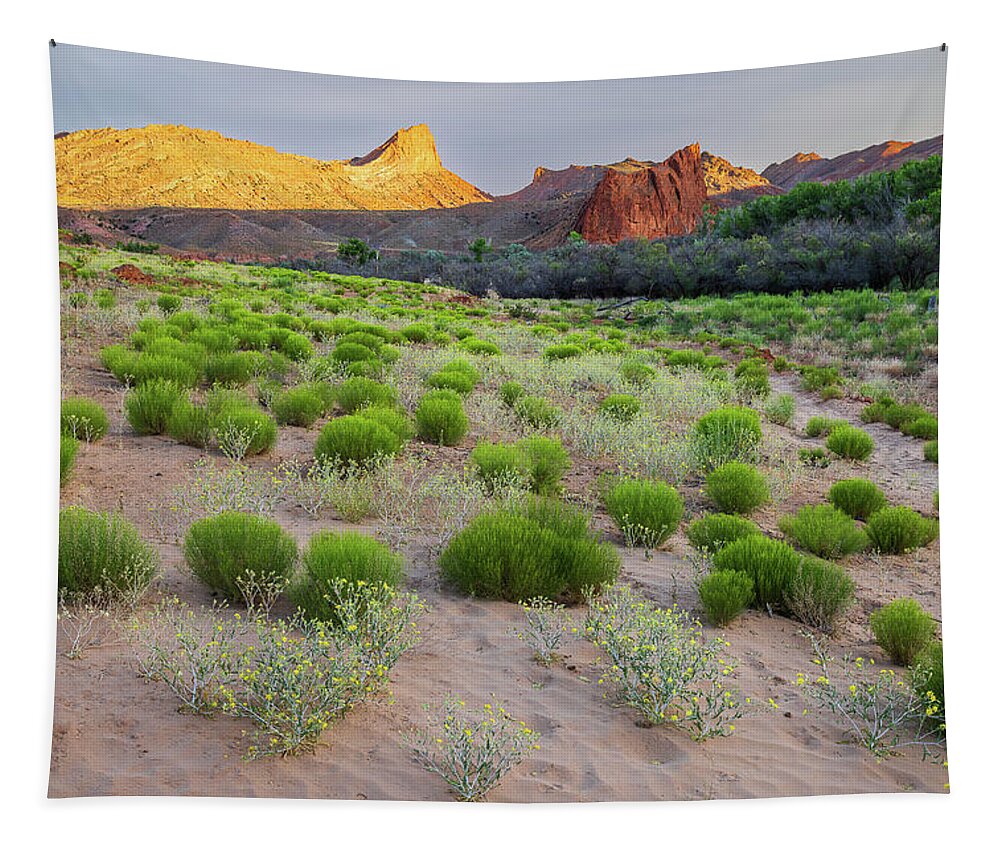 Utah Tapestry featuring the photograph Southern Utah Golden Hour Landscape by Donnie Whitaker