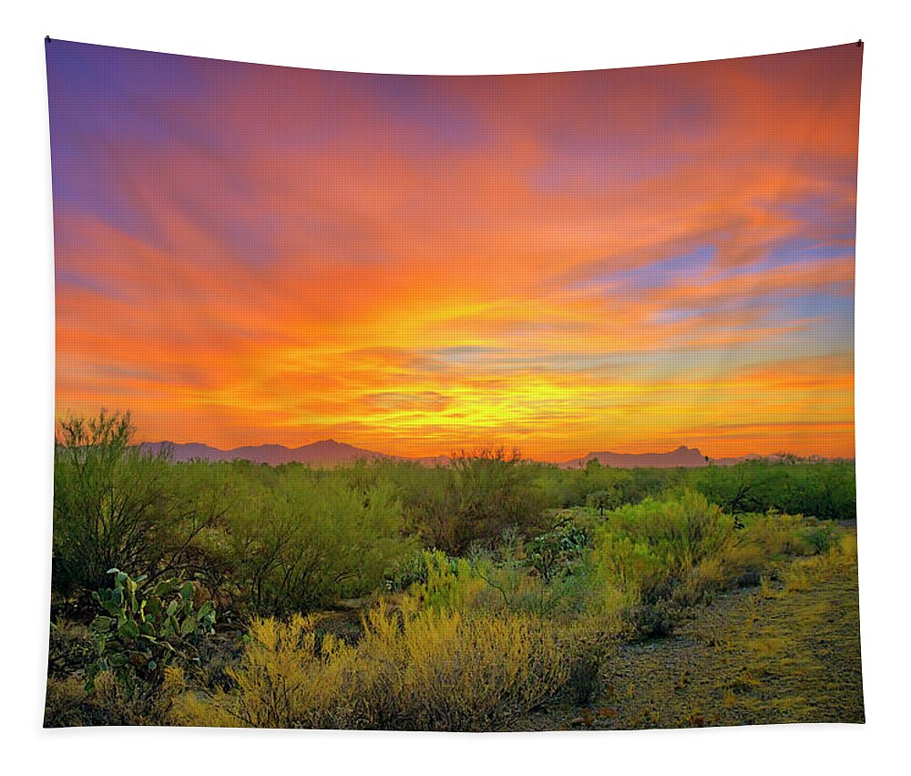 Sunset Tapestry featuring the photograph Southwest Sunset h24185 by Mark Myhaver