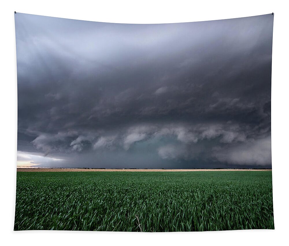 Mesocyclone Tapestry featuring the photograph Spaceship Storm by Wesley Aston