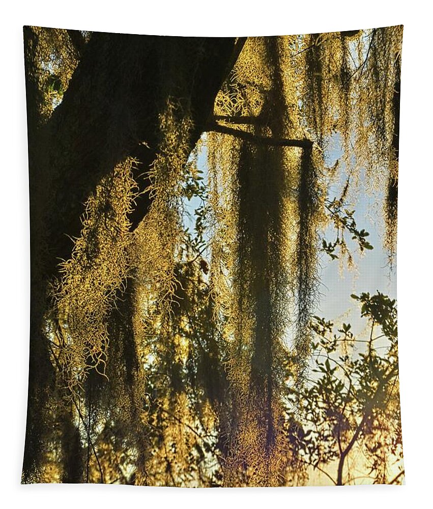 Spanish Moss Vertical 2 Tapestry featuring the photograph Spanish Moss Vertical 2 by Lisa Wooten
