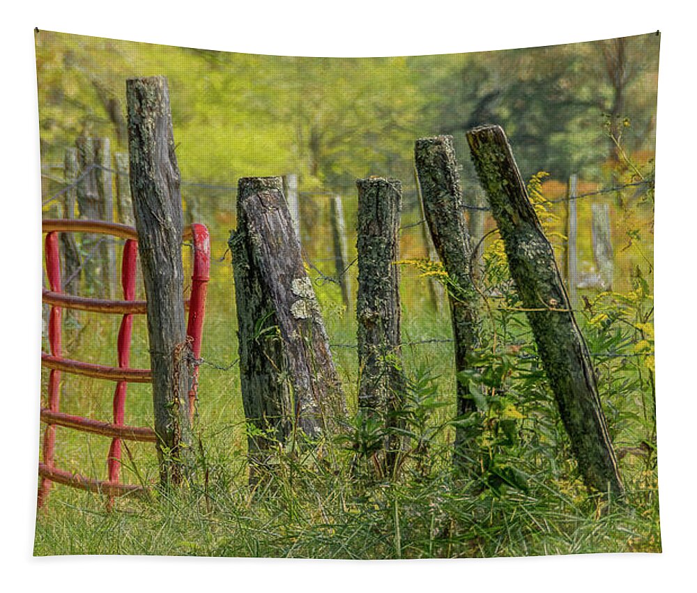 Cades Cove Tapestry featuring the photograph Sparks Lane Appeal by Marcy Wielfaert