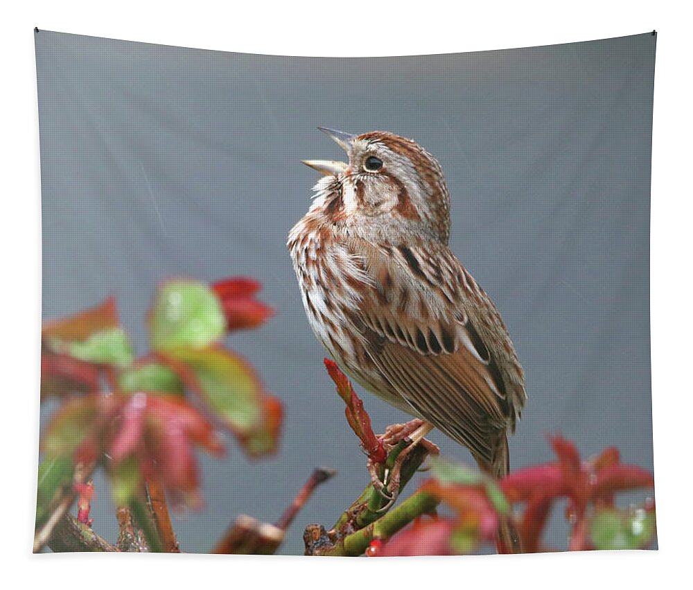 Birds Tapestry featuring the photograph Sparrow Singing in the Rain by Trina Ansel