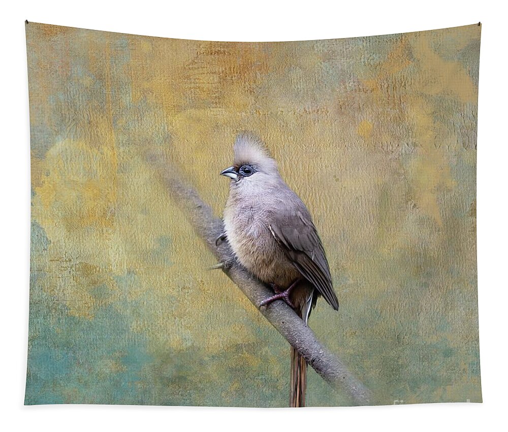 Speckled Mousebird Tapestry featuring the photograph Speckled Mousebird by Eva Lechner