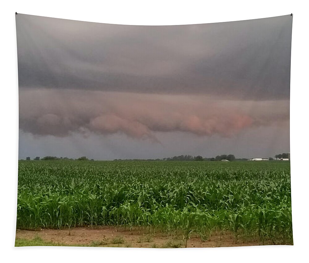 Weather Tapestry featuring the photograph Spectacular Sunset Storm Near Oskaloosa, Iowa by Ally White