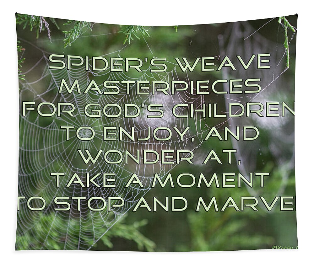 Spider Web Tapestry featuring the photograph Spider's Weave Masterpieces by Kathy Clark