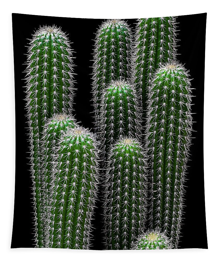 Cactus Tapestry featuring the photograph Spiky by Gary Geddes