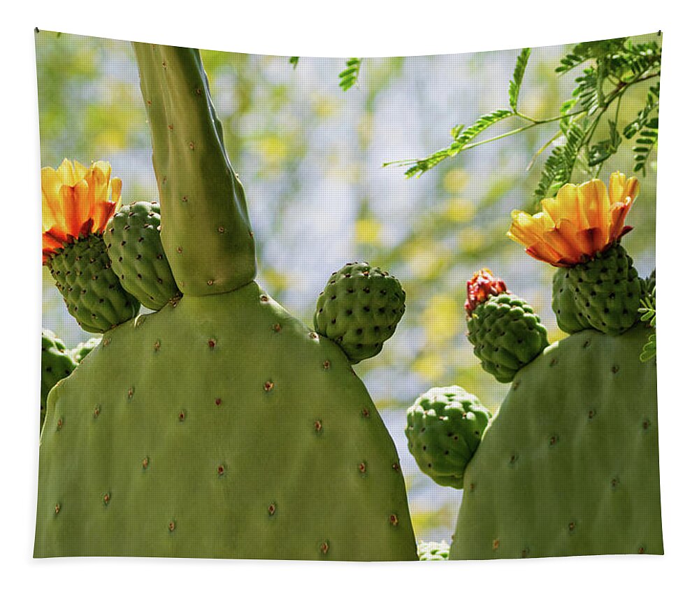 Cactus Tapestry featuring the photograph Spineless Prickly Pear Cactus Blooms by Marianne Campolongo