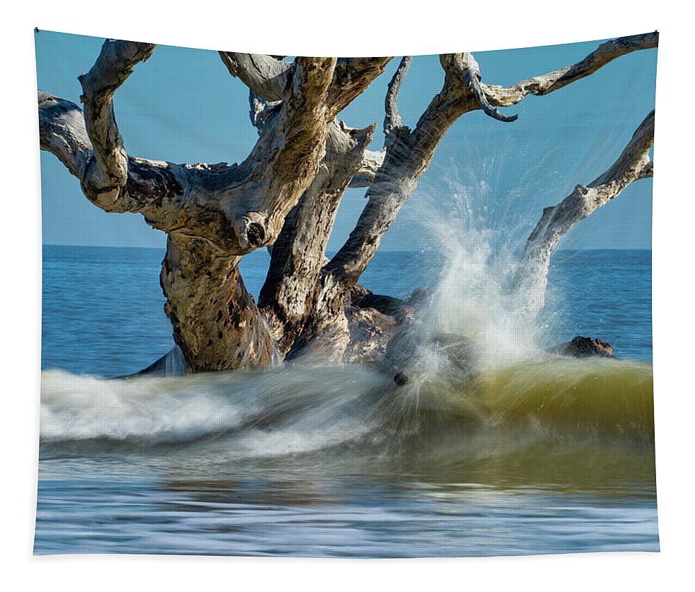 Water Tapestry featuring the photograph Splash 2 by Joye Ardyn Durham