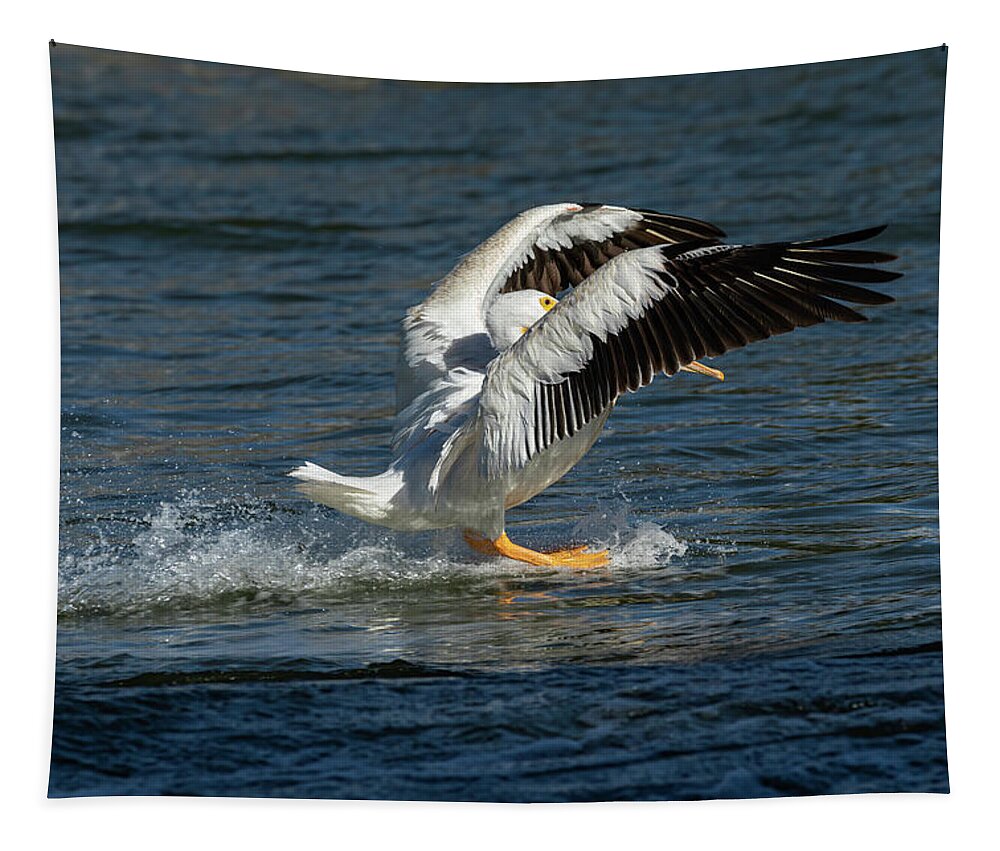 American White Pelican Tapestry featuring the photograph Splash Down 2016 by Thomas Young