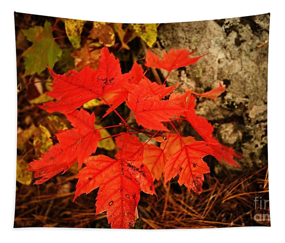 Landscape Tapestry featuring the photograph Splash of Autumn by Larry Ricker