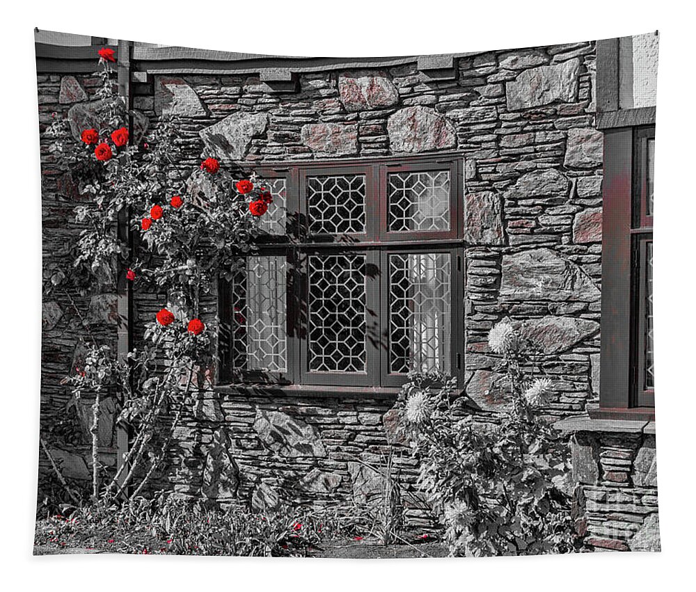 Building Tapestry featuring the photograph Splashes of Red by Elaine Teague