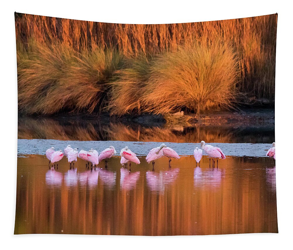 Roseate Spoonbills Tapestry featuring the photograph Spoonbills at Dawn by Jim Miller