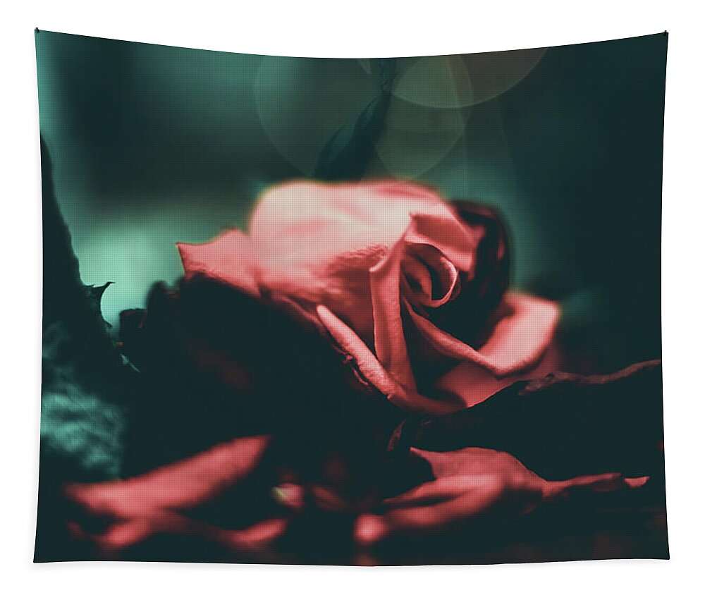 Rose Tapestry featuring the photograph Spotlight Rose by Anamar Pictures