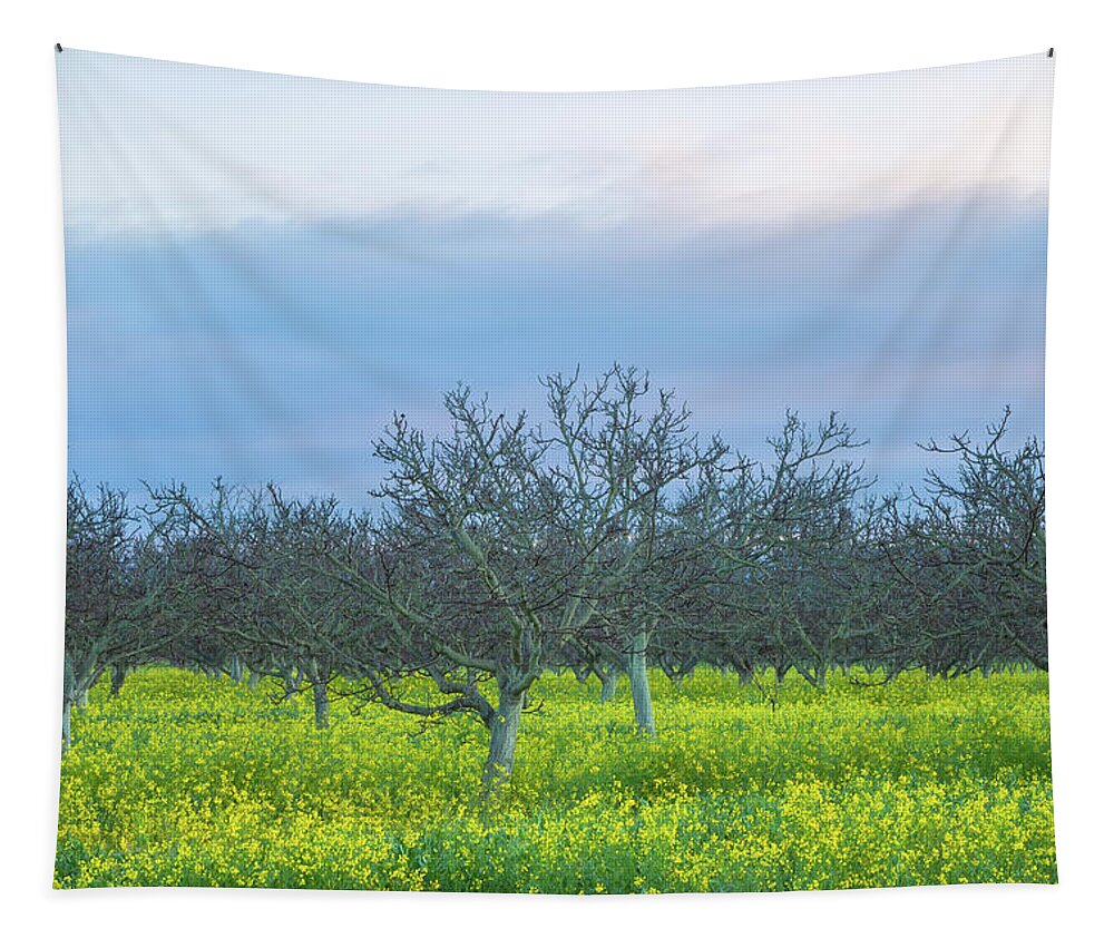 Brassica Rapa Tapestry featuring the photograph Spring At The Farm by Jonathan Nguyen