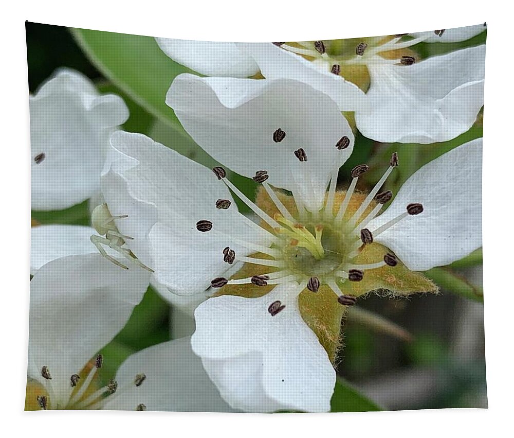 Spring Blossoms Tapestry featuring the photograph Spring Blossoms by Lieve Snellings