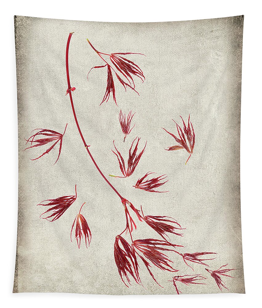 Japanese Maple Tapestry featuring the photograph Spring Dance of the Japanese Maple by Marilyn Cornwell