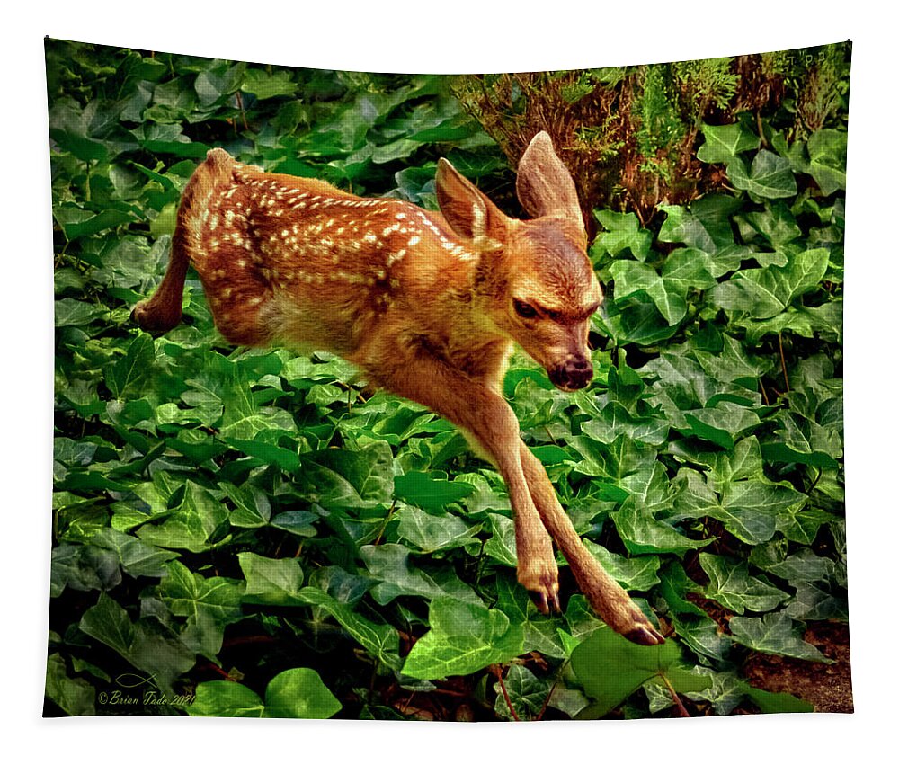 Fawn Tapestry featuring the photograph Fawn Greeting by Brian Tada