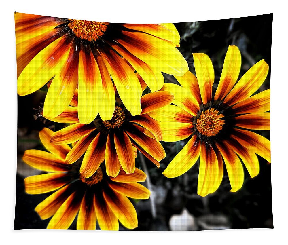 Orange Tapestry featuring the photograph Spring Flowers by Dave Zumsteg