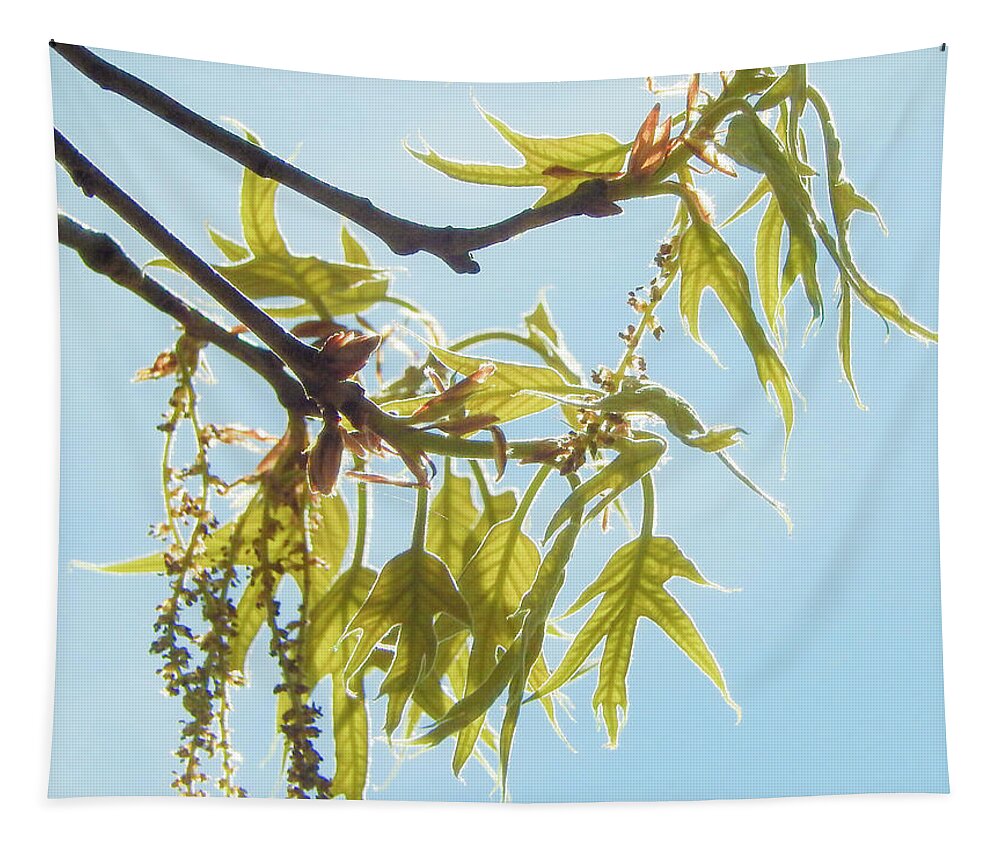 Spring Tapestry featuring the photograph Spring Oak Leaves by Phil And Karen Rispin