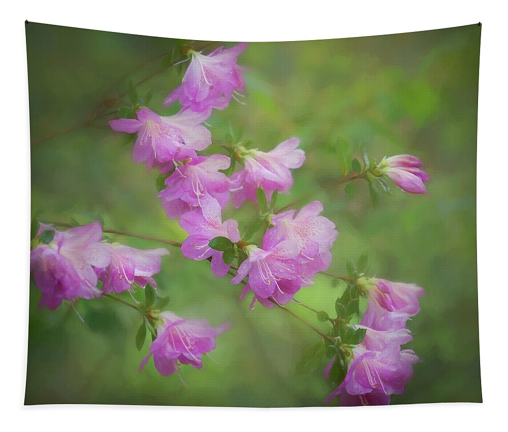 Spring Tapestry featuring the photograph Spring Rain in The Garden by Sylvia Goldkranz