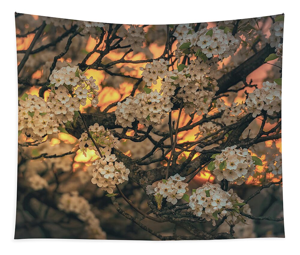 Spring Tapestry featuring the photograph Spring Snow at Sunset by Jason Fink
