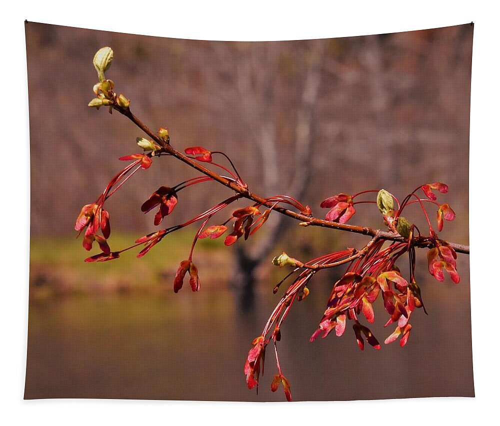 - Spring Tree 2 Tapestry featuring the photograph - Spring Tree 2 by THERESA Nye