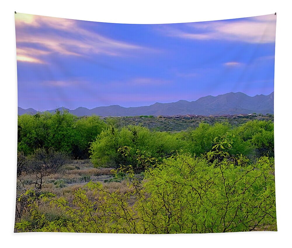 Arizona Tapestry featuring the photograph Spring Valley View 25090 by Mark Myhaver