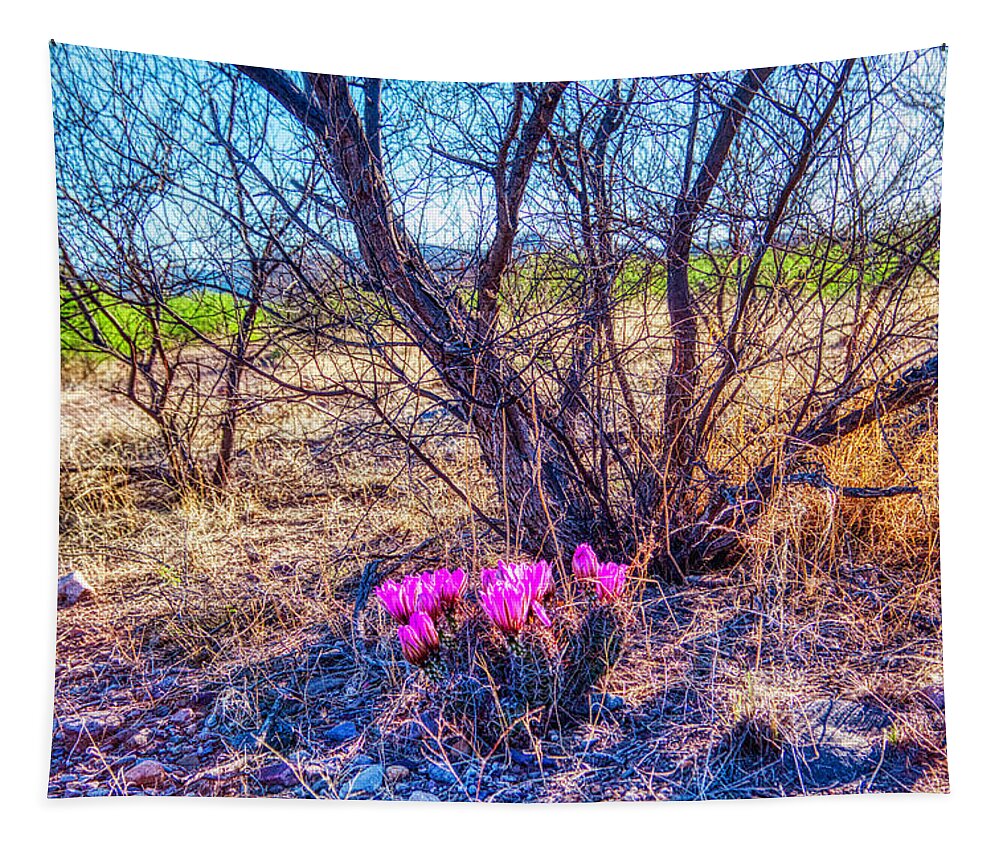 Springtine Tapestry featuring the photograph Springtime in Arizona by Tatiana Travelways